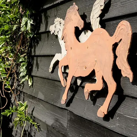 Hear Trees' Rustle And Enjoy View From Terrace Ferienhaus Bogø By