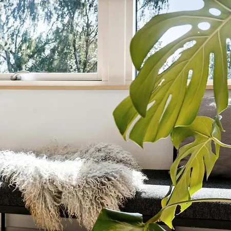 Σπίτι διακοπών Hear Trees' Rustle And Enjoy View From Terrace