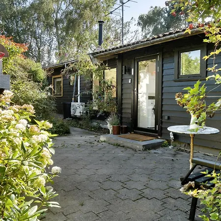 Hear Trees' Rustle And Enjoy View From Terrace Bogø By